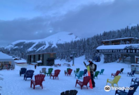 Table Mountain Regional Park景点图片