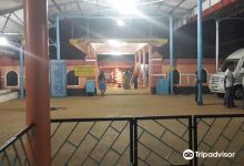 Valliyoorkavu Bhagavathi Temple景点图片