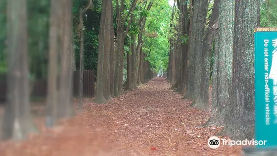 新威森林公園