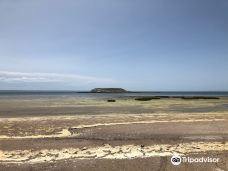 Reserva Natural Isla de los Pajaros-别德马