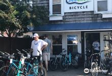 Seagreen Bicycle购物图片