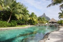 Bora Bora Turtle Centre景点图片