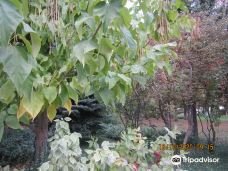 Park of Slavic Culture and Literature-顿涅茨克