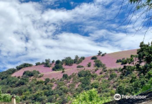 Fort Tejon State Historical park景点图片