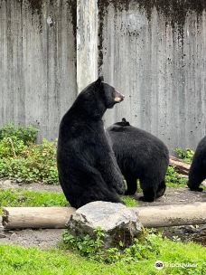 Fortress of the Bear-锡特卡