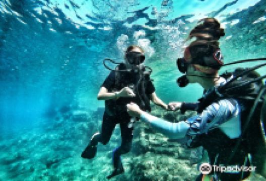 Aquatica购物图片