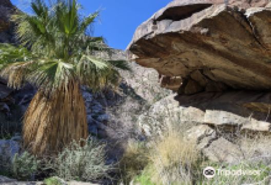 Oswit Canyon景点图片