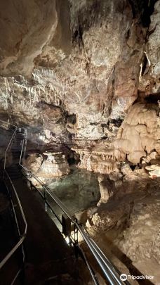 Grotte di Toirano-萨沃纳