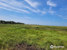 Wellfleet Bay Wildlife Sanctuary-韦尔弗利特