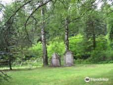 Old Jewish Cemetery Drmoul-卡罗维发利