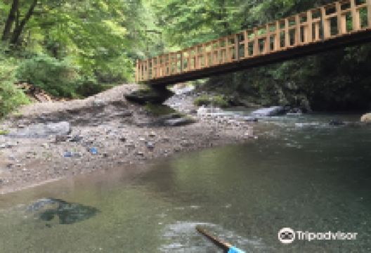 Arima Canyon Fishing Spot景点图片