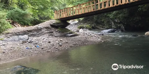 Arima Canyon Fishing Spot