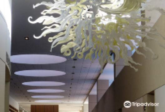 Public Library景点图片