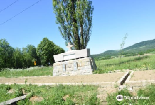 World War I Cemetery no.10 Wola Cieklińska景点图片