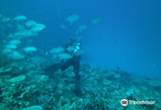 Kalalin Pass景点图片