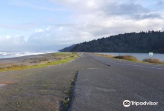 Freshwater Lagoon景点图片