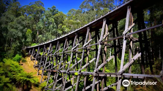 Noojee Trestle Bridge