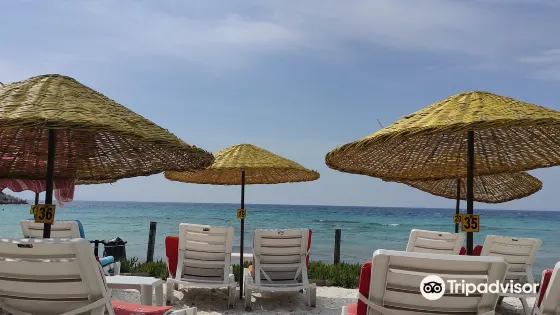 Barselona Beach