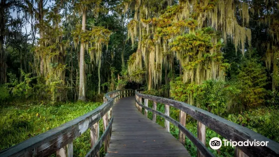 Phinizy Swamp Nature Park