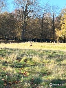 Tatton Park Country Park-纳茨福德