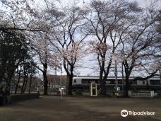Matsugae Park-相模原市