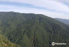 Green Valley景点图片