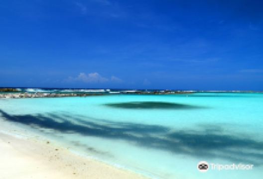 婴儿海滩景点图片