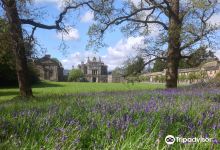 Curraghmore House and Gardens景点图片