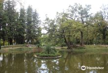 Zugdidi Botanical Garden景点图片