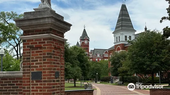 Toomer's Corner