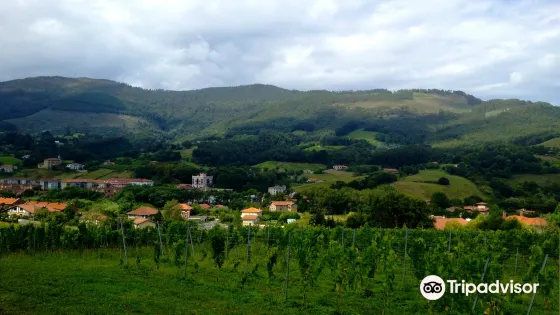 Doniene Gorrondona Txakolina