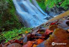 Cachoeira (Waterfalls) Olivo景点图片