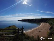 Baginbun Beach-韦斯福德