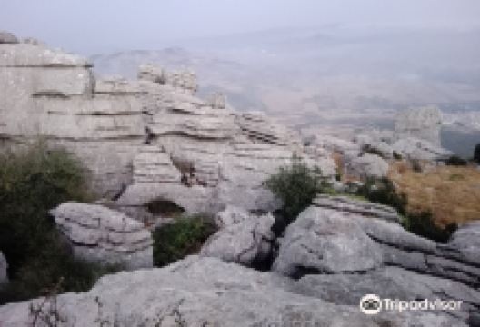 Observatorio Astronomico El Torcal景点图片