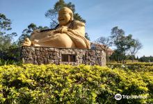 南美巴西承天寺景点图片