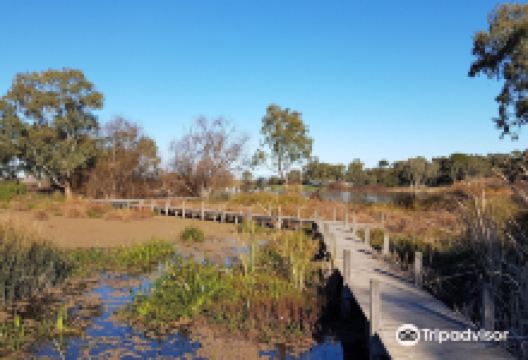 Swanport Wetlands景点图片