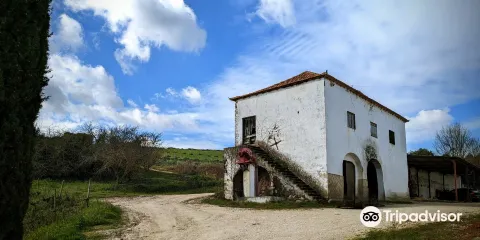 Quinta de Pancas
