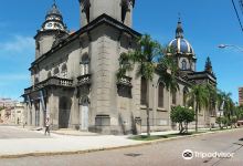 Metropolitan Cathedral San Francisco de Paula景点图片