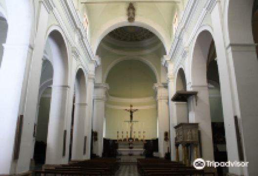 Concattedrale Dei Santi Alberto E Marziale景点图片