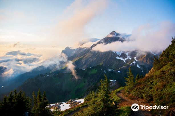 正宗泰山火烧(渤海七路店)