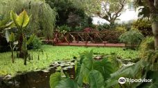 Andromeda Botanic Gardens-巴斯赫巴