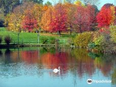 Parco della Pellerina-都灵