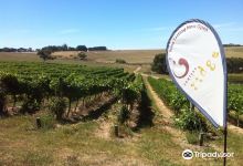Newtons Ridge Estate Vineyard & Winery景点图片