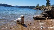 Tubbs Hill-科达伦