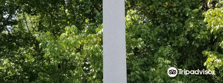 591387988