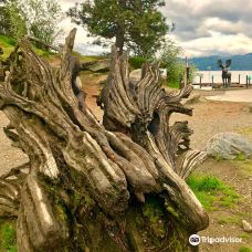 Tubbs Hill-科达伦