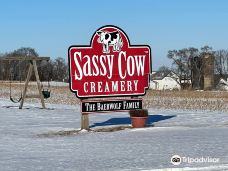 Sassy Cow Creamery Store-汉普登