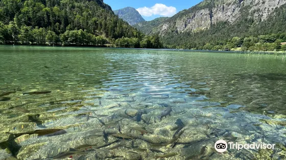 Thumsee