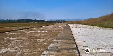 Nucleo museologico do sal （ eco museu do sal ）