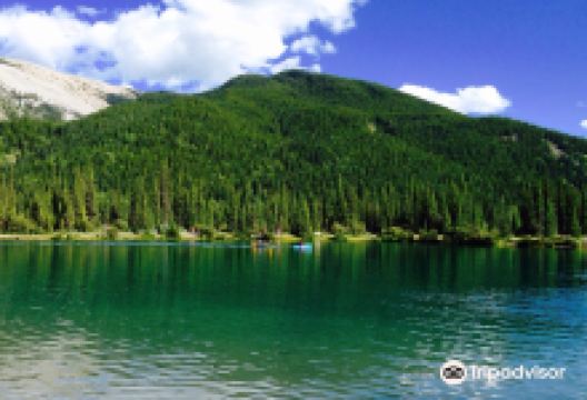 Forgetmenot Pond景点图片